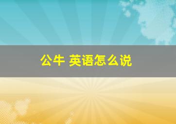 公牛 英语怎么说